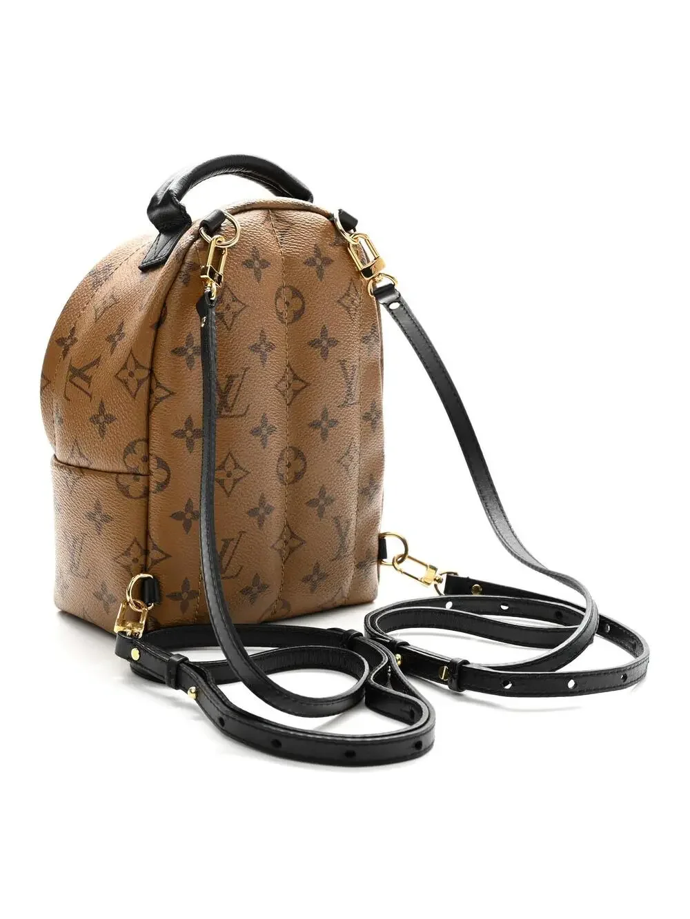 Louis Vuitton Reverse Palm Springs #290711L16B